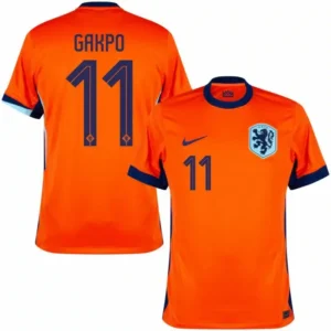 Holland Home Gakpo 11 Shirt 2024-2025 Player version Size：S-2XL Non-Customize