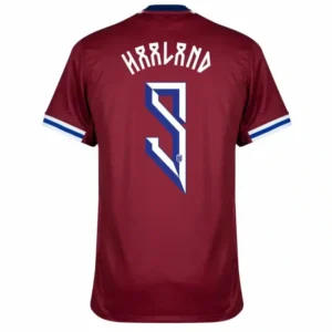 Norway Nation Home Haaland 9 Shirt 2024-2025 Player version Size：S-2XL Non-Customize
